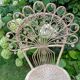 Peacock rattan chair