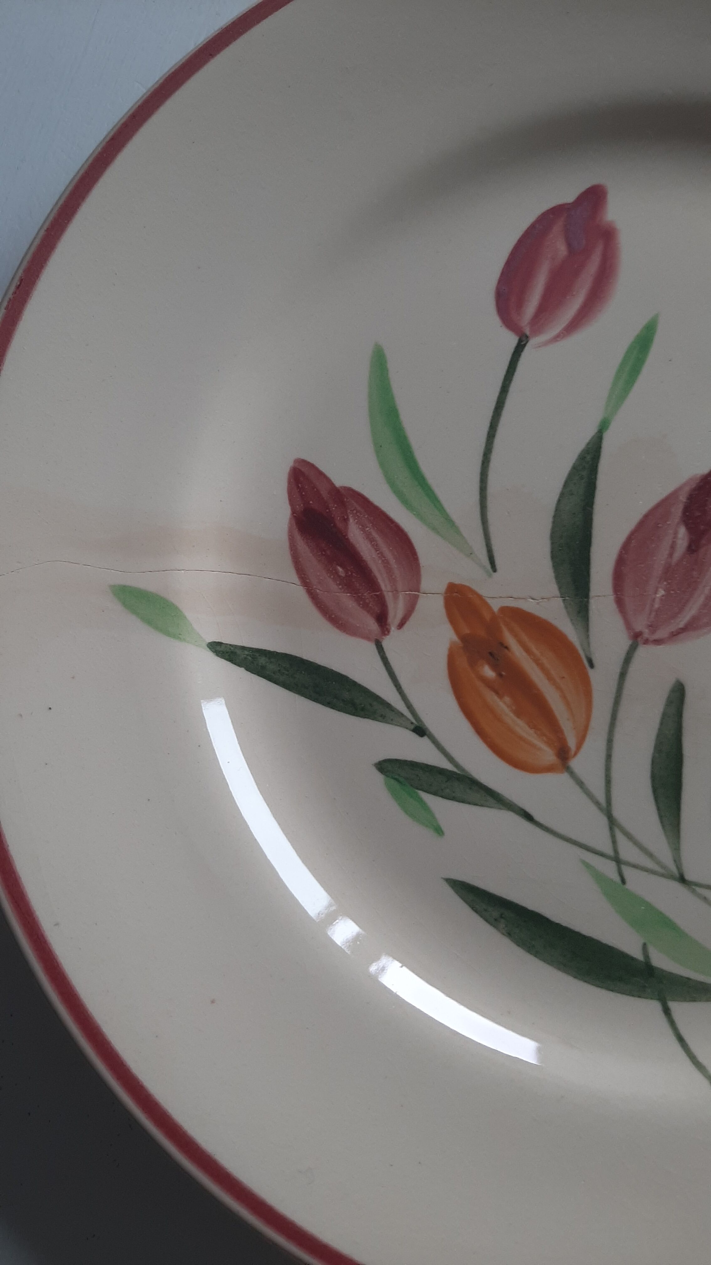 Longchamp earthenware plates