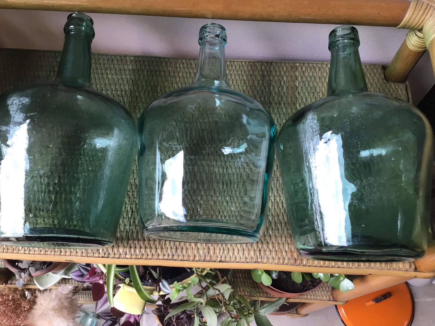 Set of 4 glass cylinders