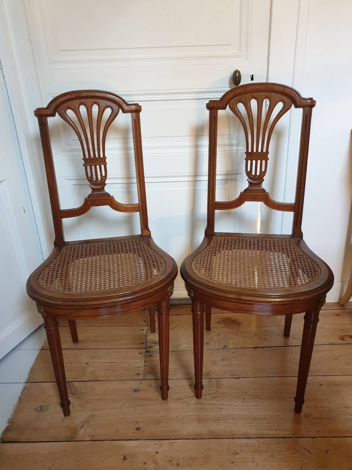 Louis XVI cane chairs
