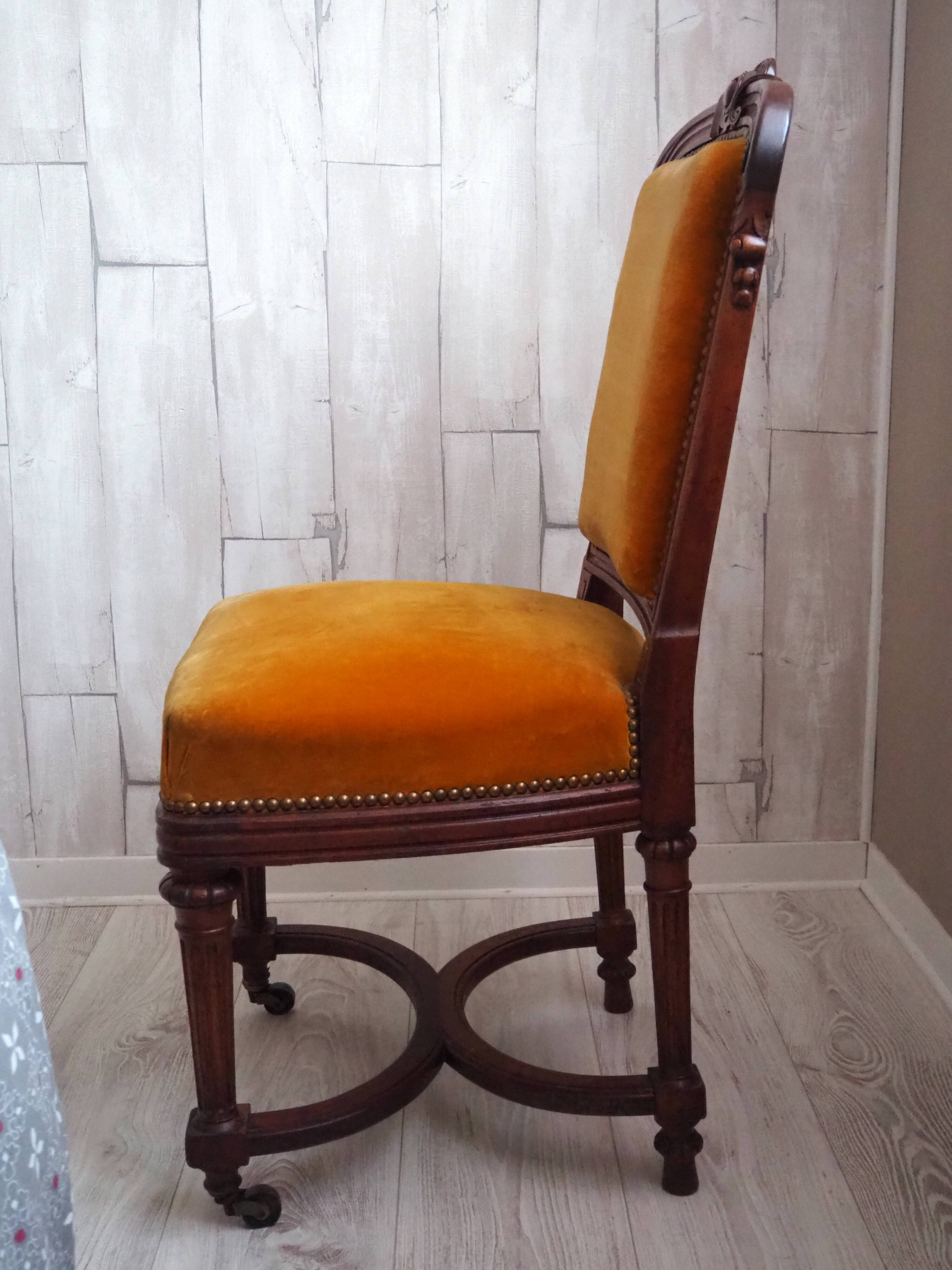 Antique Regency Style padded chair - Wooden structure and horsehair padding - Mustard color