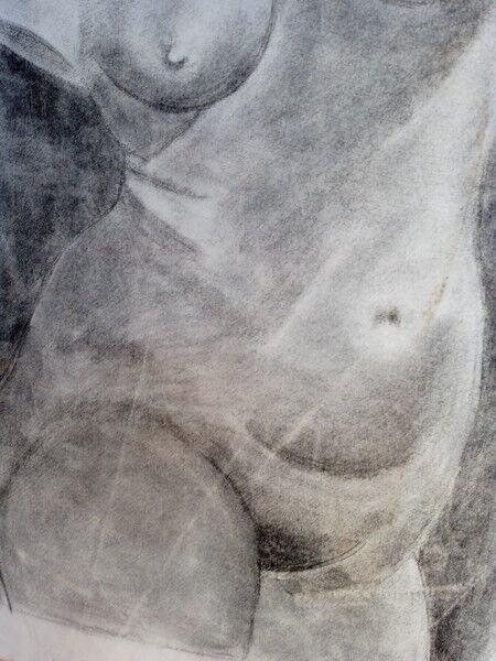 Drawing charcoal study nude femini statue 64x48cm