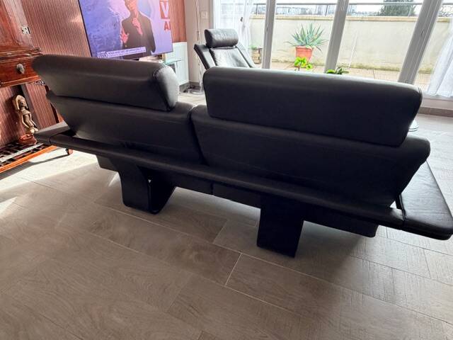 Nova roche bobois sofa