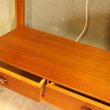 Mid Century Gustav Bahus bookcase, 1960