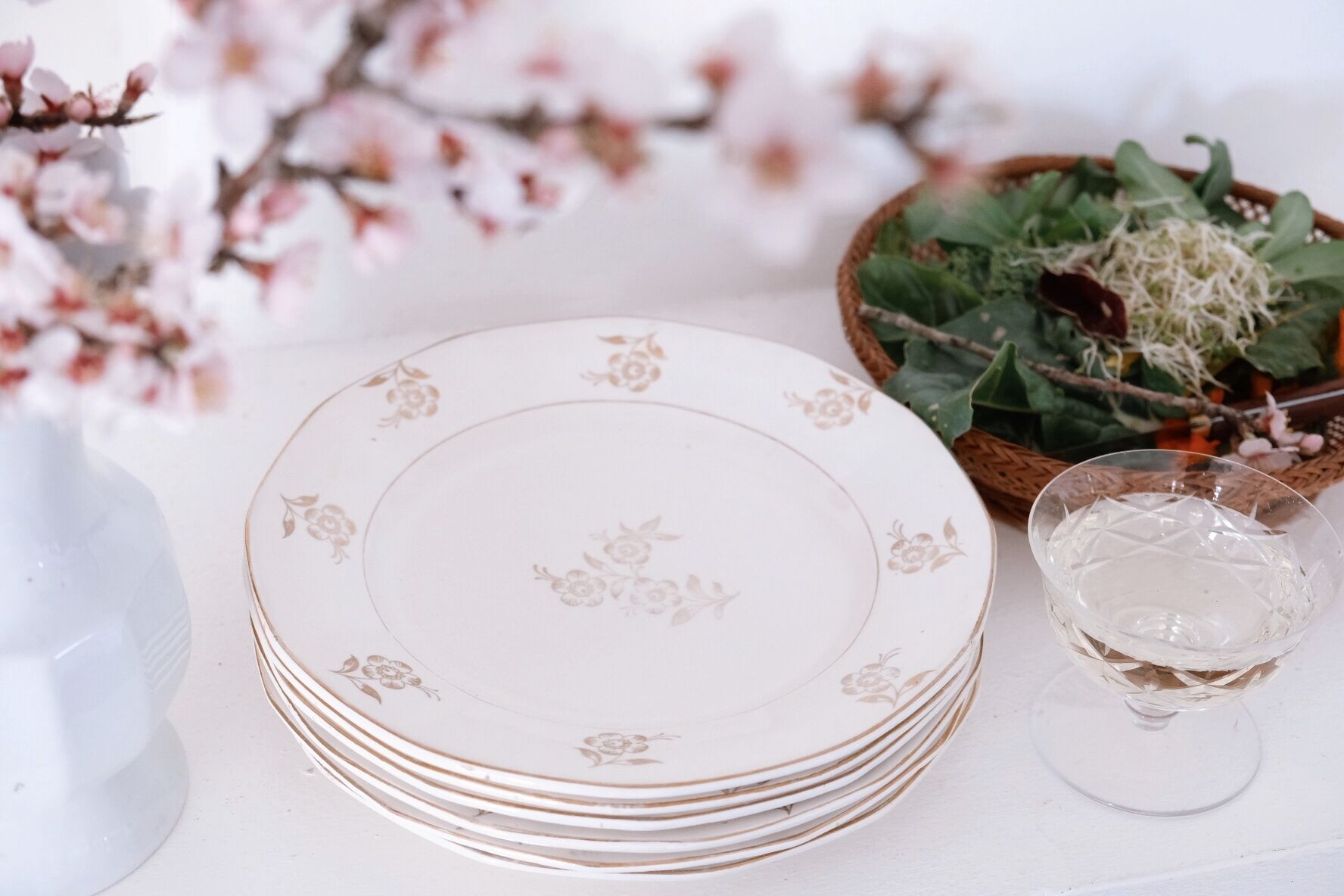 Set of opaque porcelain plates 'Raphael' from the French manufacturer Digoin-Sarreguemines