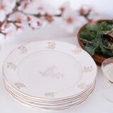 Set of opaque porcelain plates 'Raphael' from the French manufacturer Digoin-Sarreguemines