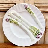 3 assiettes à asperges barbotine Luneville