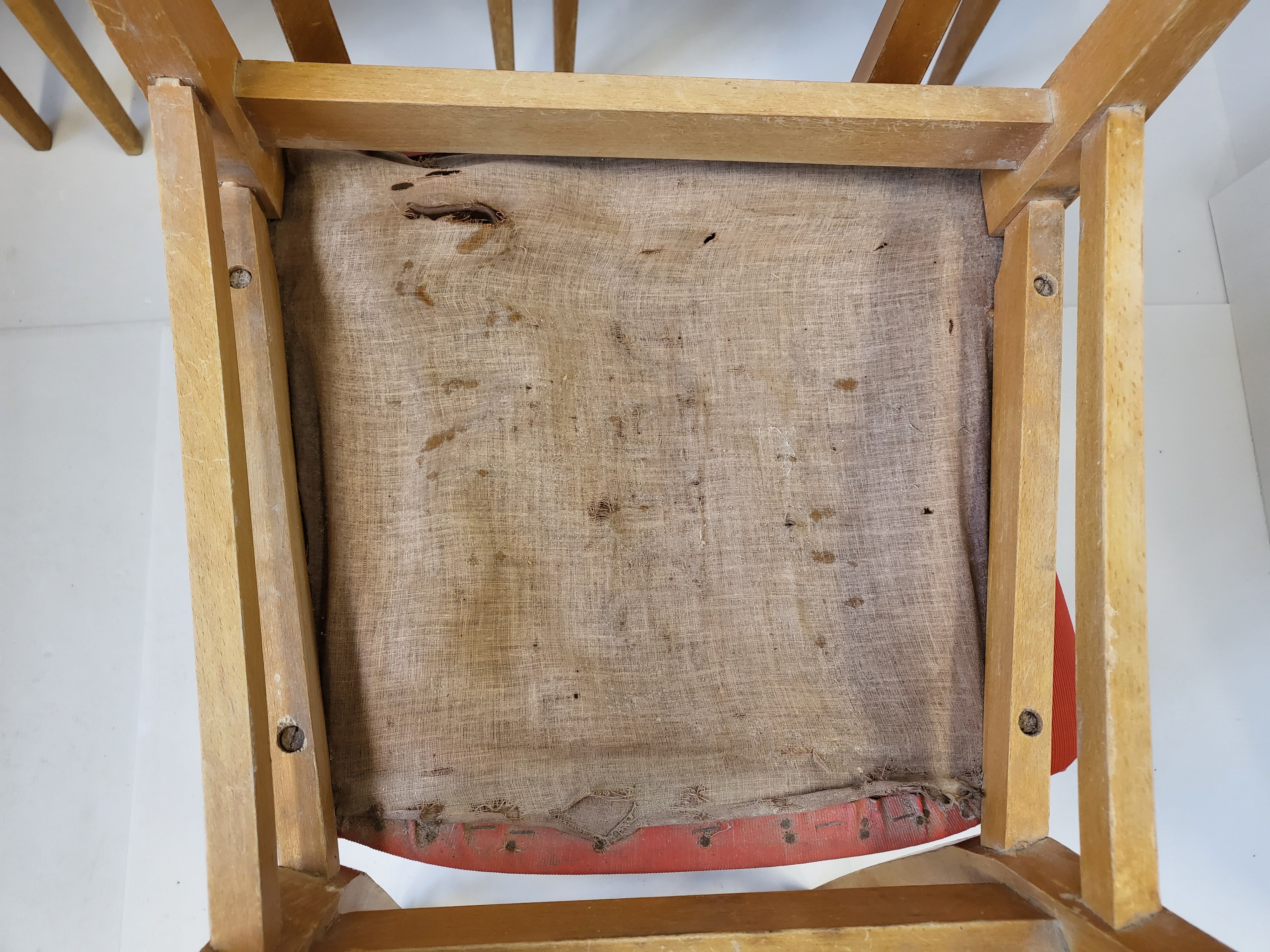 Suite of 5 chairs 1950