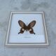 Butterfly frame