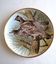 Assiette porcelaine Limoges collection oiseaux Hazel Grouse
