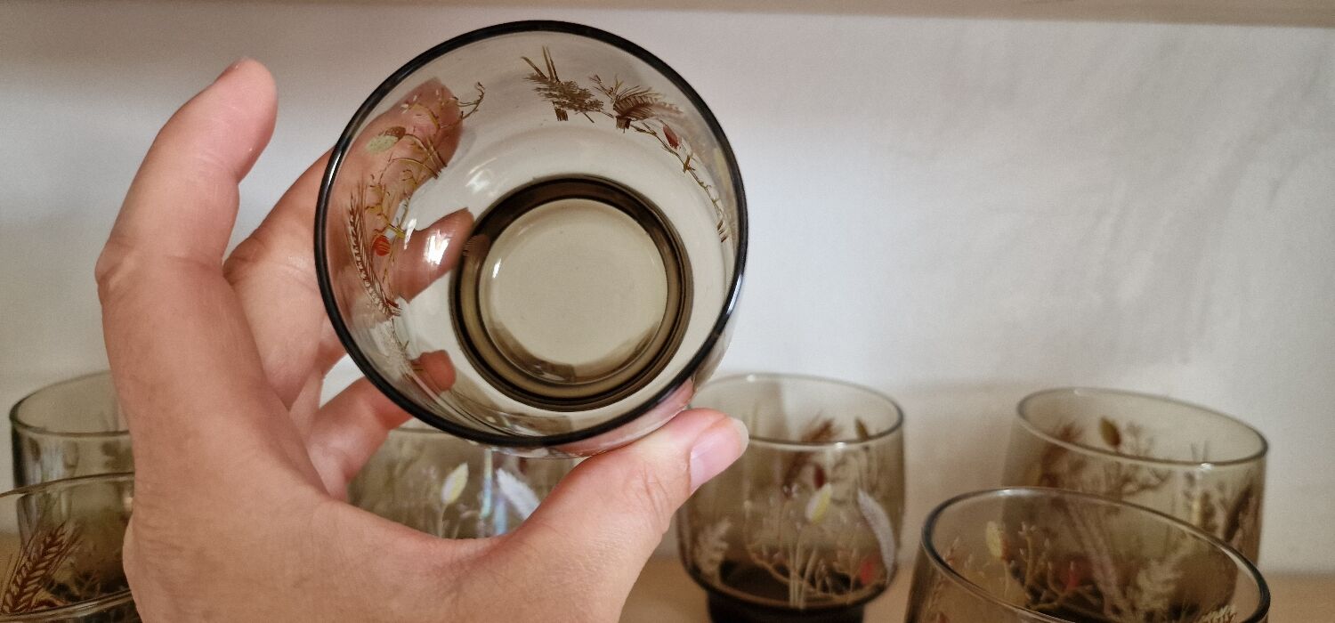 8 Verres fumés Tivoli