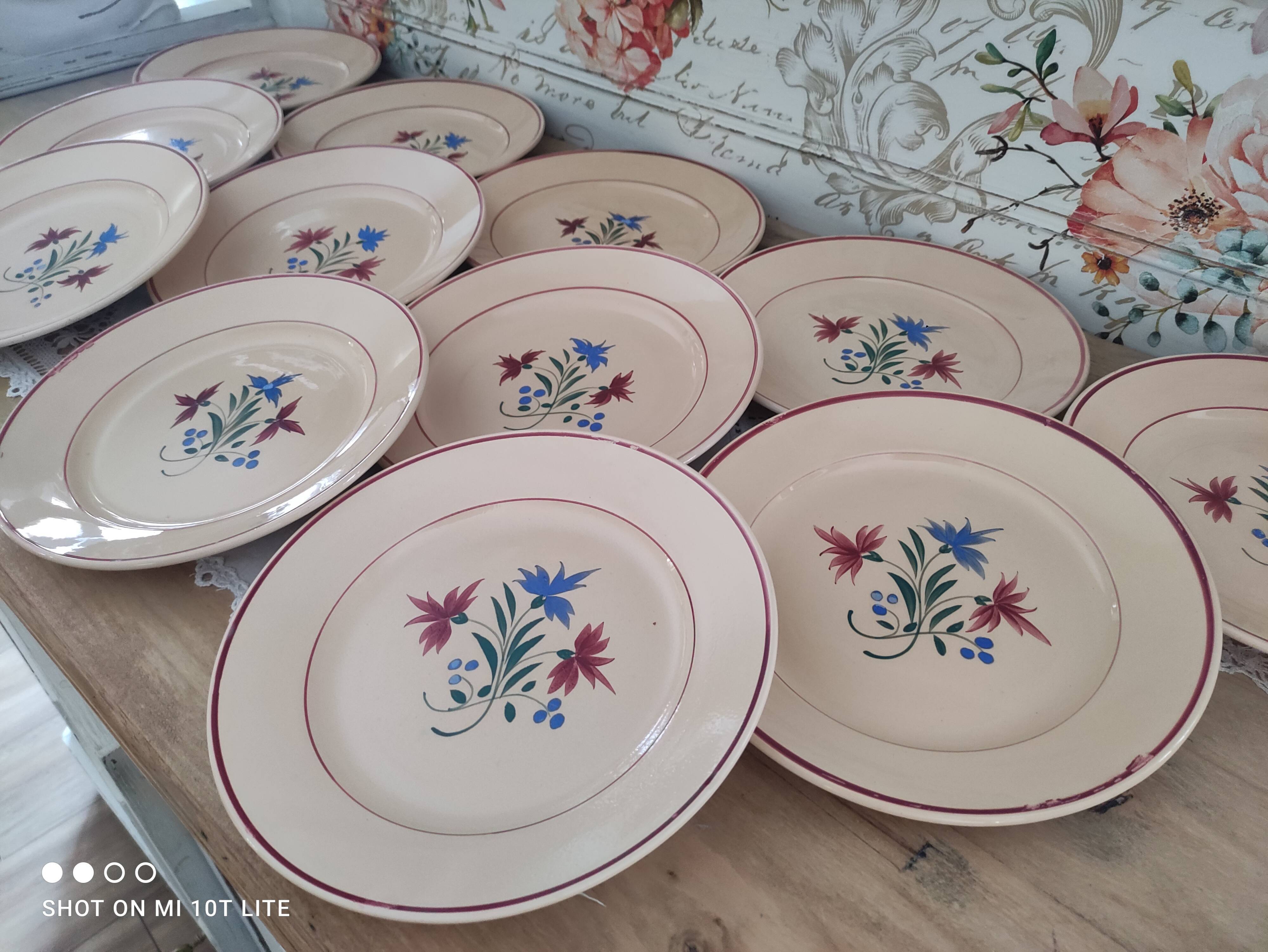 Set of 12 flat plates 30s earthenware K&G Lunéville model Denise