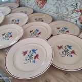Set of 12 flat plates 30s earthenware K&G Lunéville model Denise