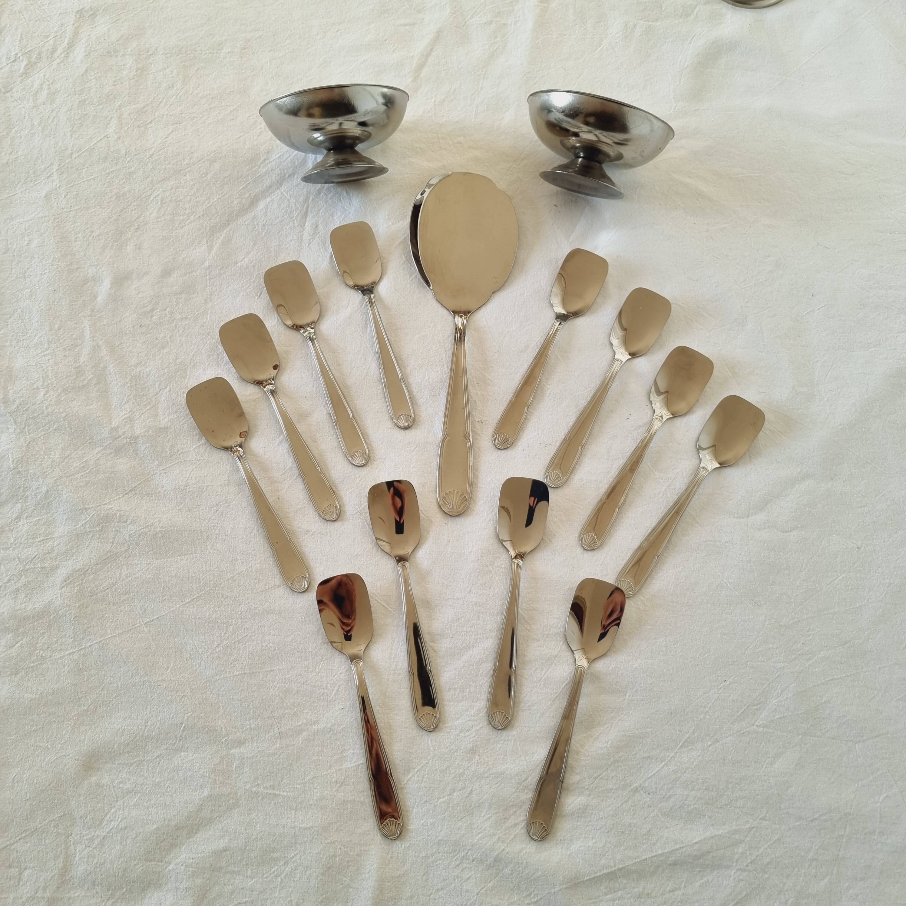 Box with 12 vintage spoons and spoon for serving ice cream in stainless steel