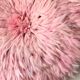 Juju Hat pink 80 cm