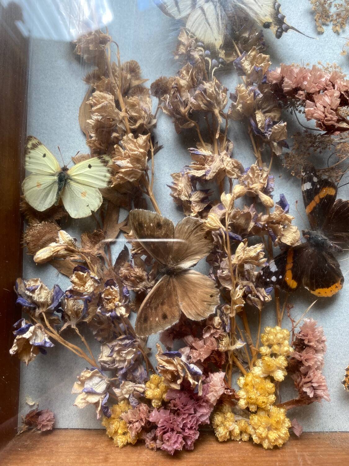 Vintage frame with butterflies and dried flowers