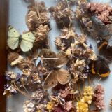 Vintage frame with butterflies and dried flowers