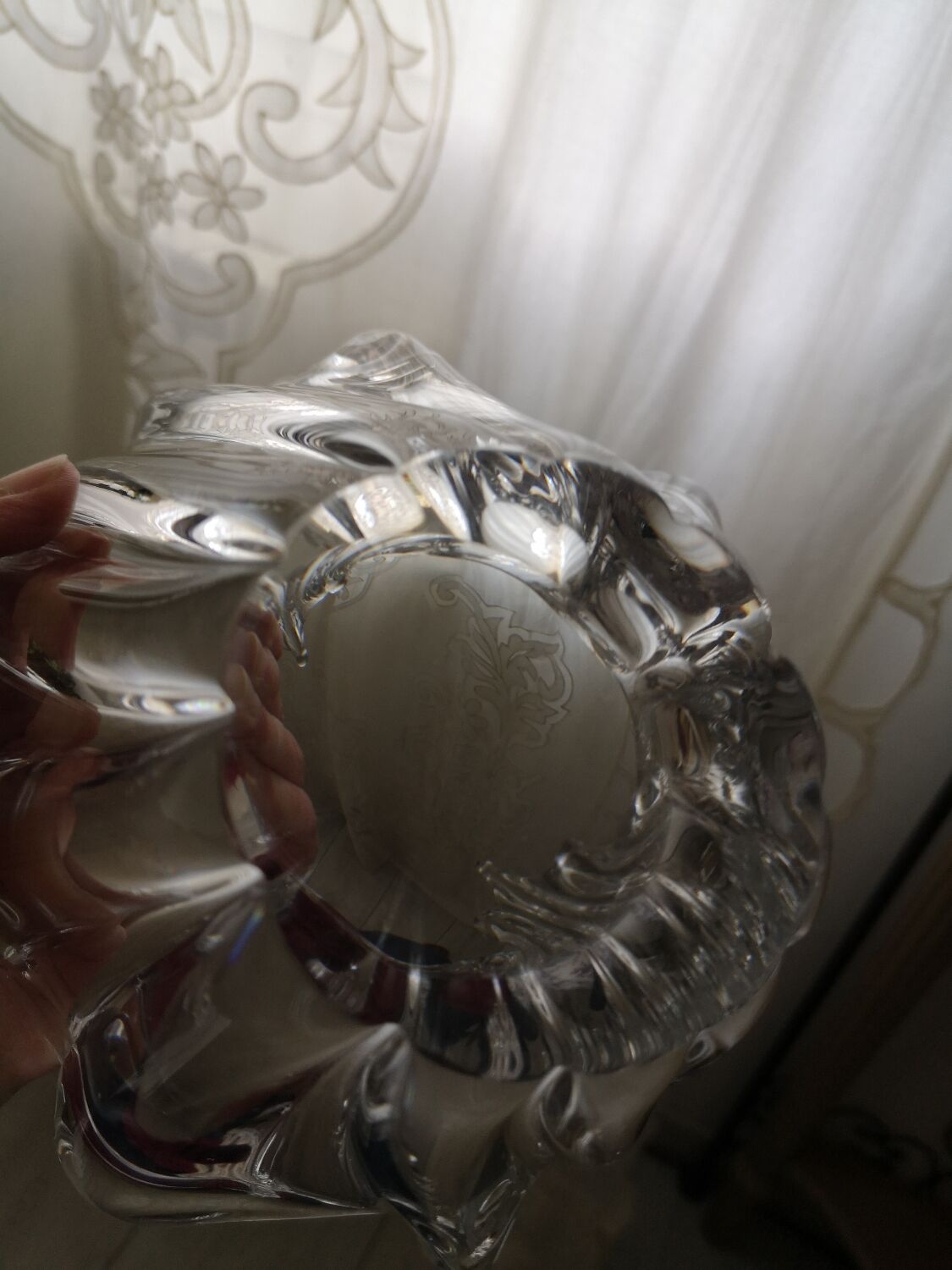 Daum cup