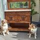 Renovated Renaissance buffet