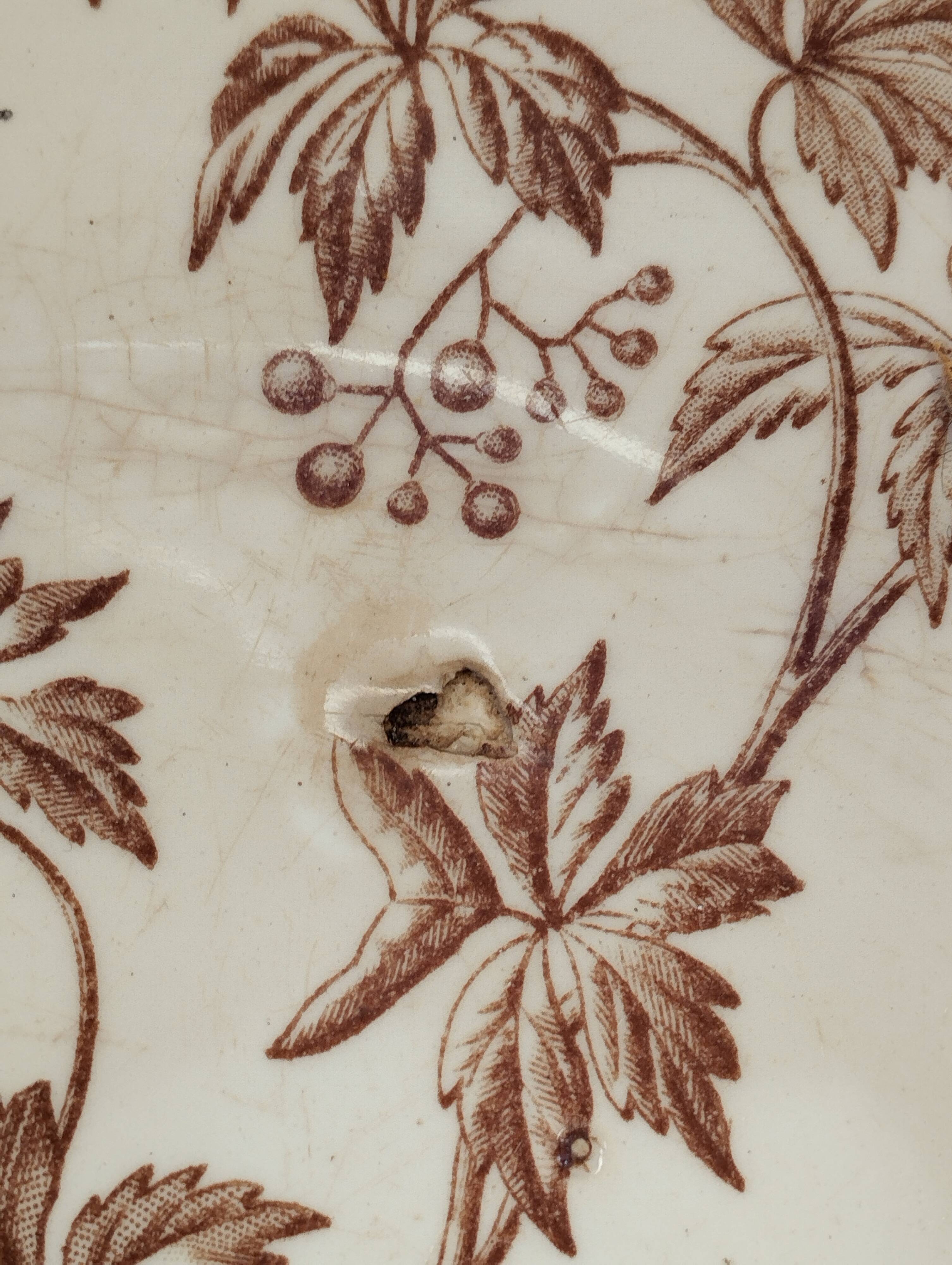 Large Longchamp Virginia creeper salad bowl