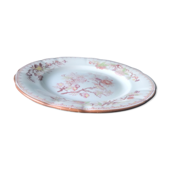 Assiette plate Sarreguemines Minton