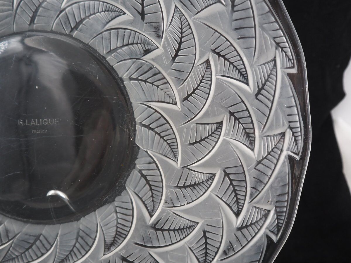 Coupe, plat, "les ormeaux" N°1, René Lalique