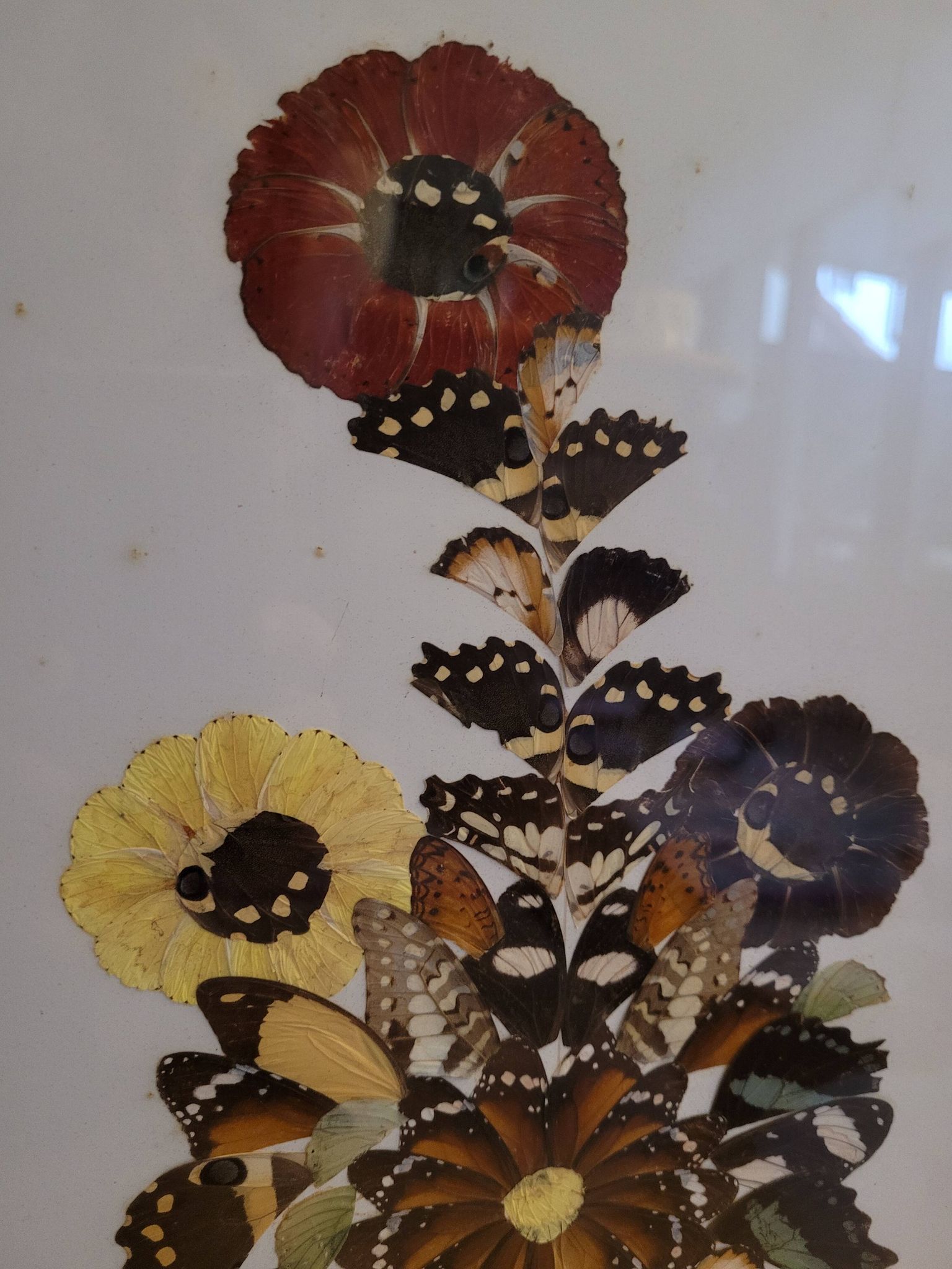 Vintage painting flowers wings of naturalized butterflies