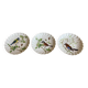 3 small plates / bowls in Limoges Haviland porcelain – Bird design