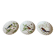 3 small plates / bowls in Limoges Haviland porcelain – Bird design