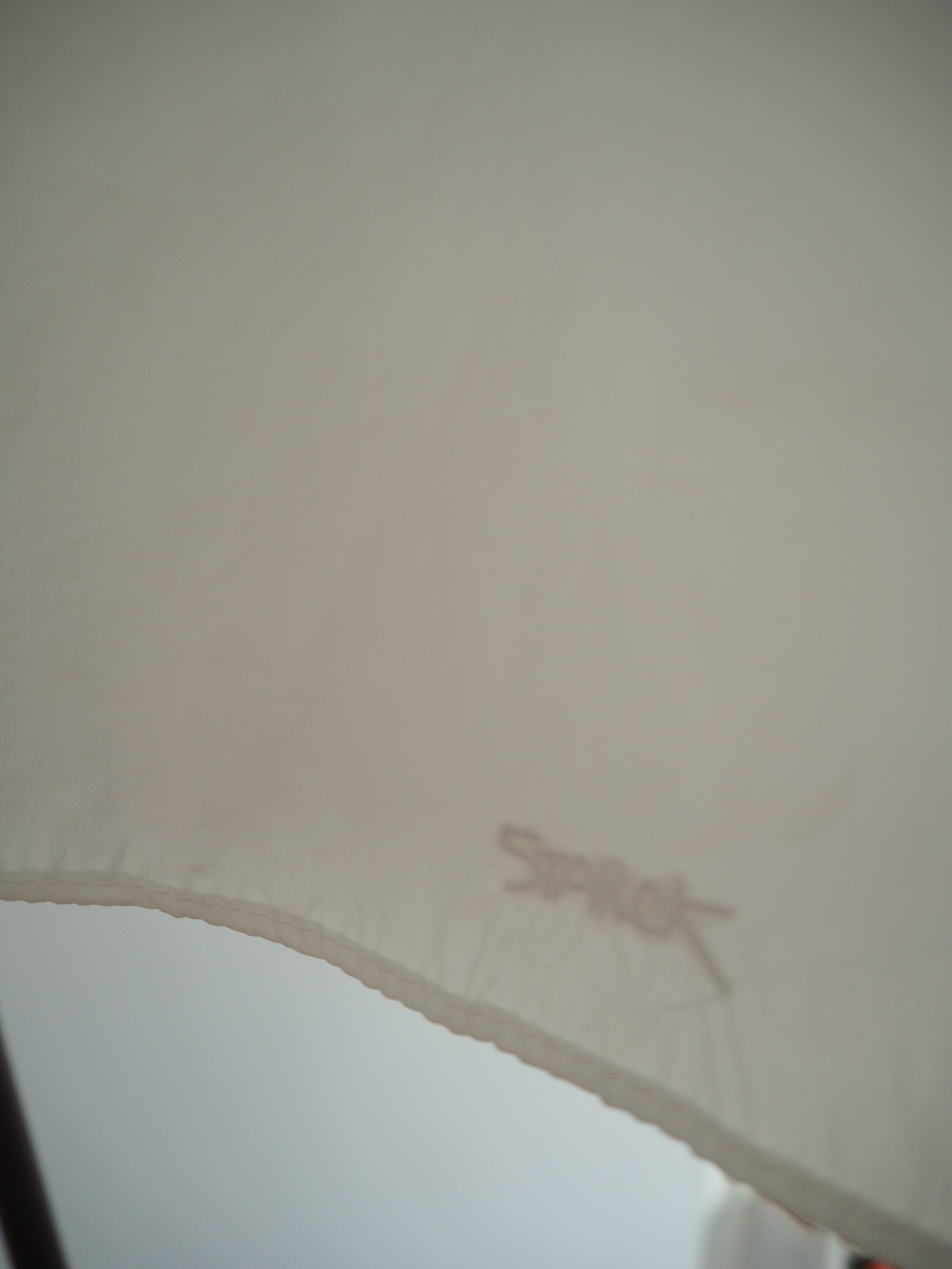 rosy angelis floor lamp by Philippe Starck