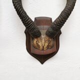 Pair of hunting trophy horn oryx antelope