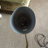 Articulated lamp
