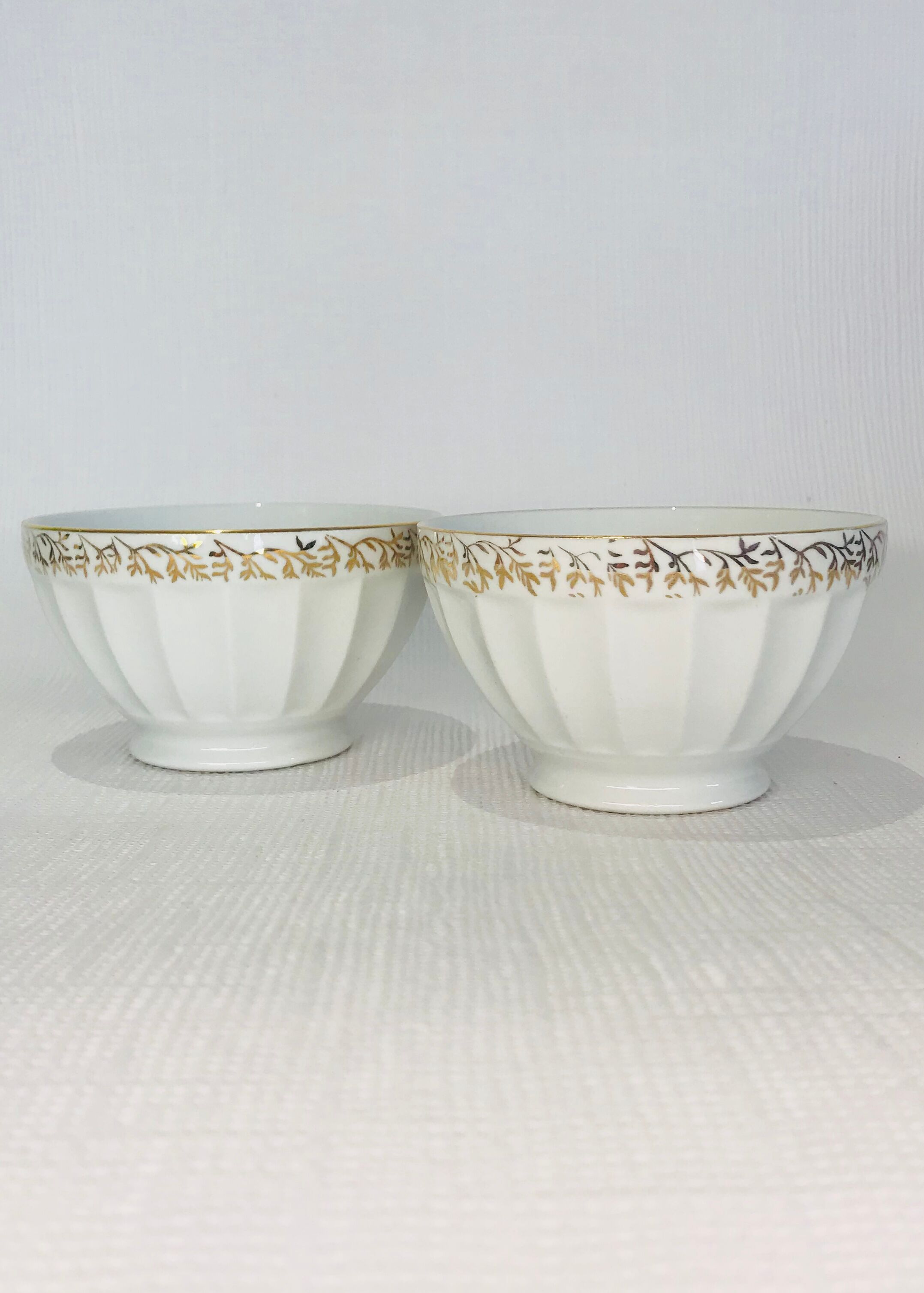 Pair of bowls "Longchamp"