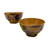 Bowls in dabbling Salins the baths