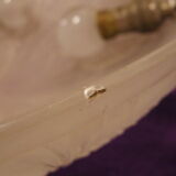 Lustre hanging cas for art deco pine apple