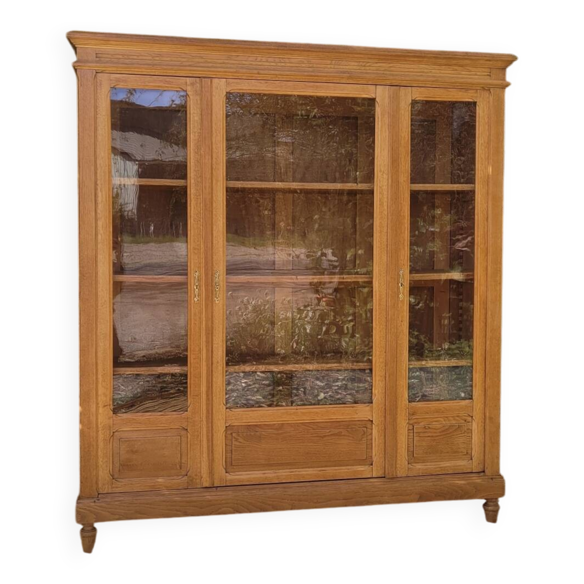 Showcase library - renovated