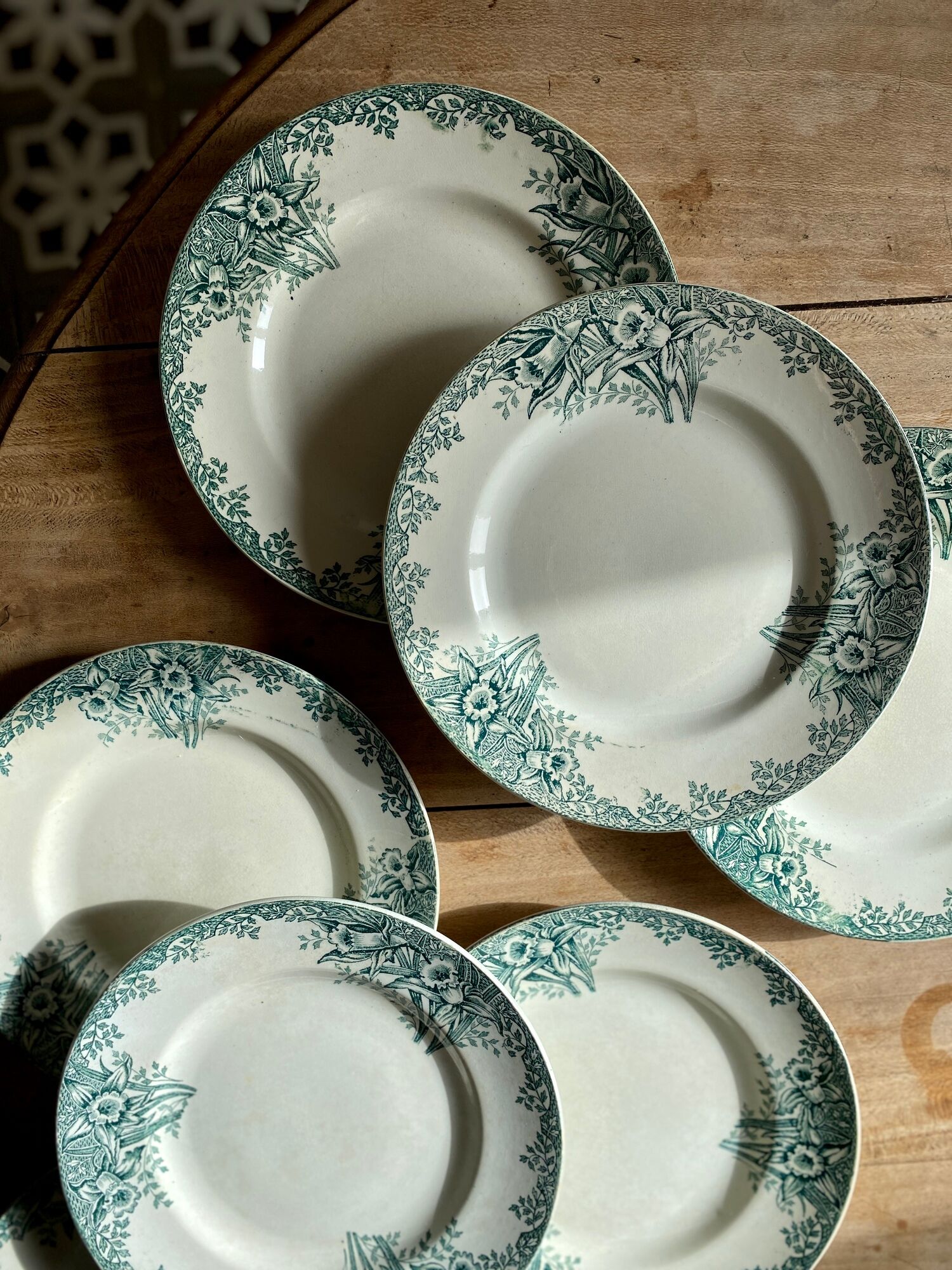 Set of 8 vintage flat plates in iron earth, model Narcisses de Saint Amand (LOT1)