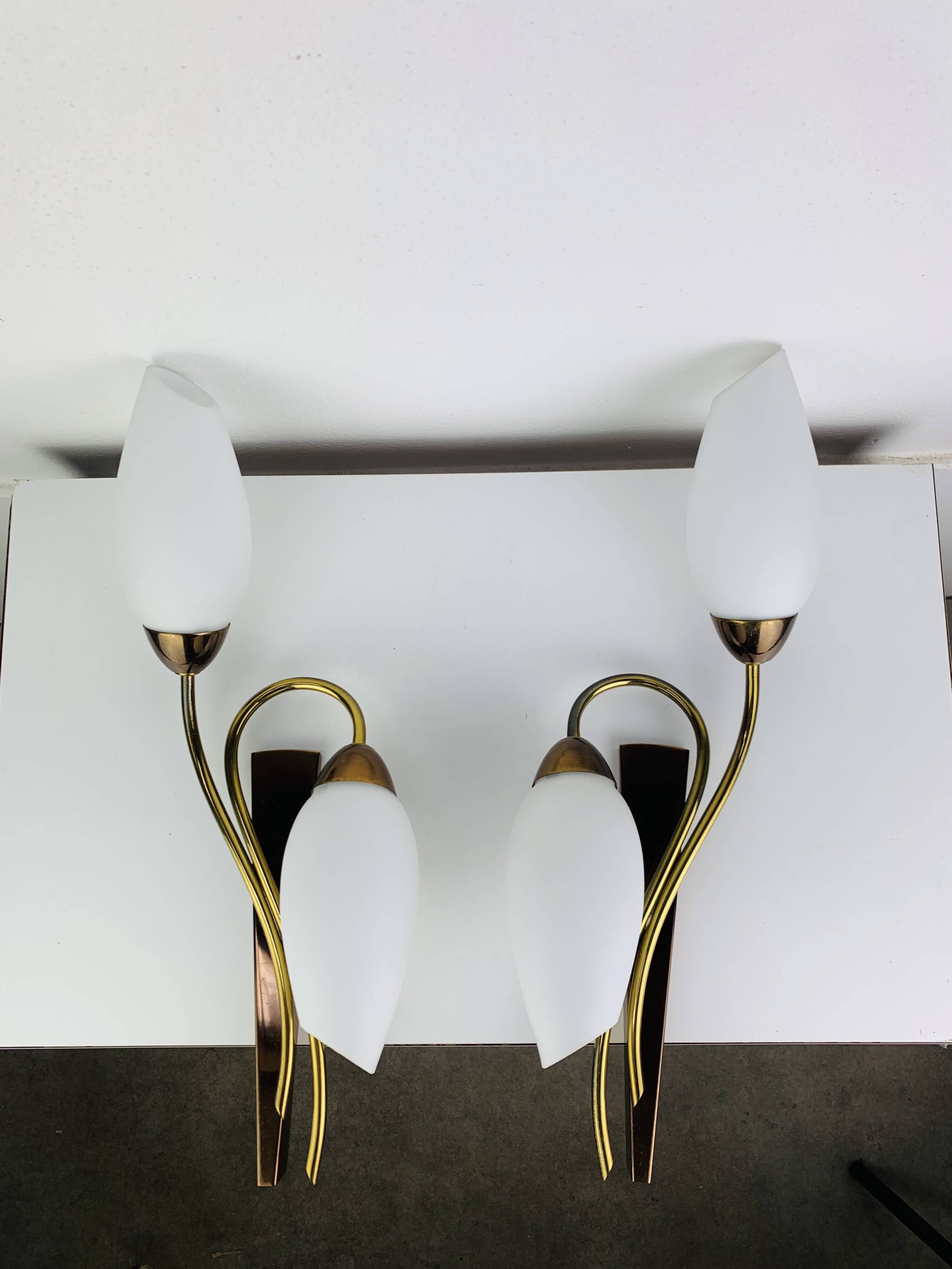 Pair of 1950s wall lights in brass and opaline tulips, Lunel/Arlus