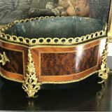 Garden of eventful form Napoleon III era