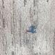 Persian rug Gabbeh handmade 215X300 cm