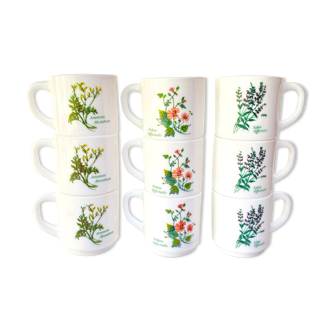 Vintage Arcopal coffee cups