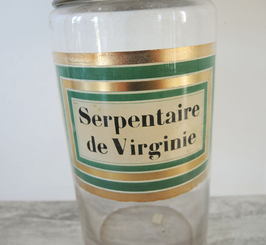 Old Pharmacy Pot / Virginia Snake Apothecary Bottle