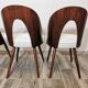 Dining Chairs by Antonin Suman, 1960s, Set of 4