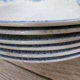 6 hollow plates in iron earth from Digoin Sarreguemines.