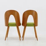 1960s Set of Four Antonin Suman Dining Chairs ,Restored
