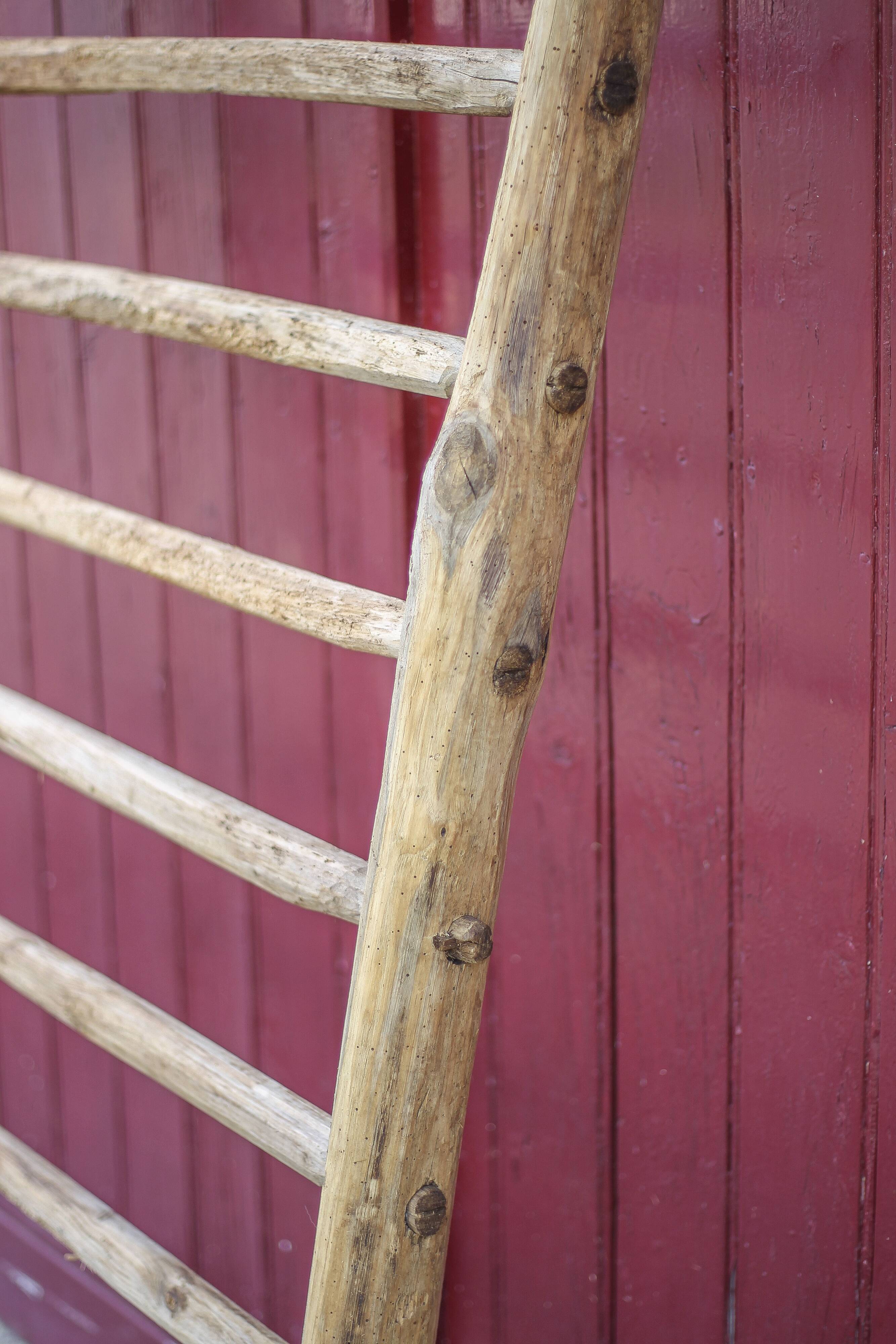 Antique vintage wooden animal fence, wall trellis, plant stand