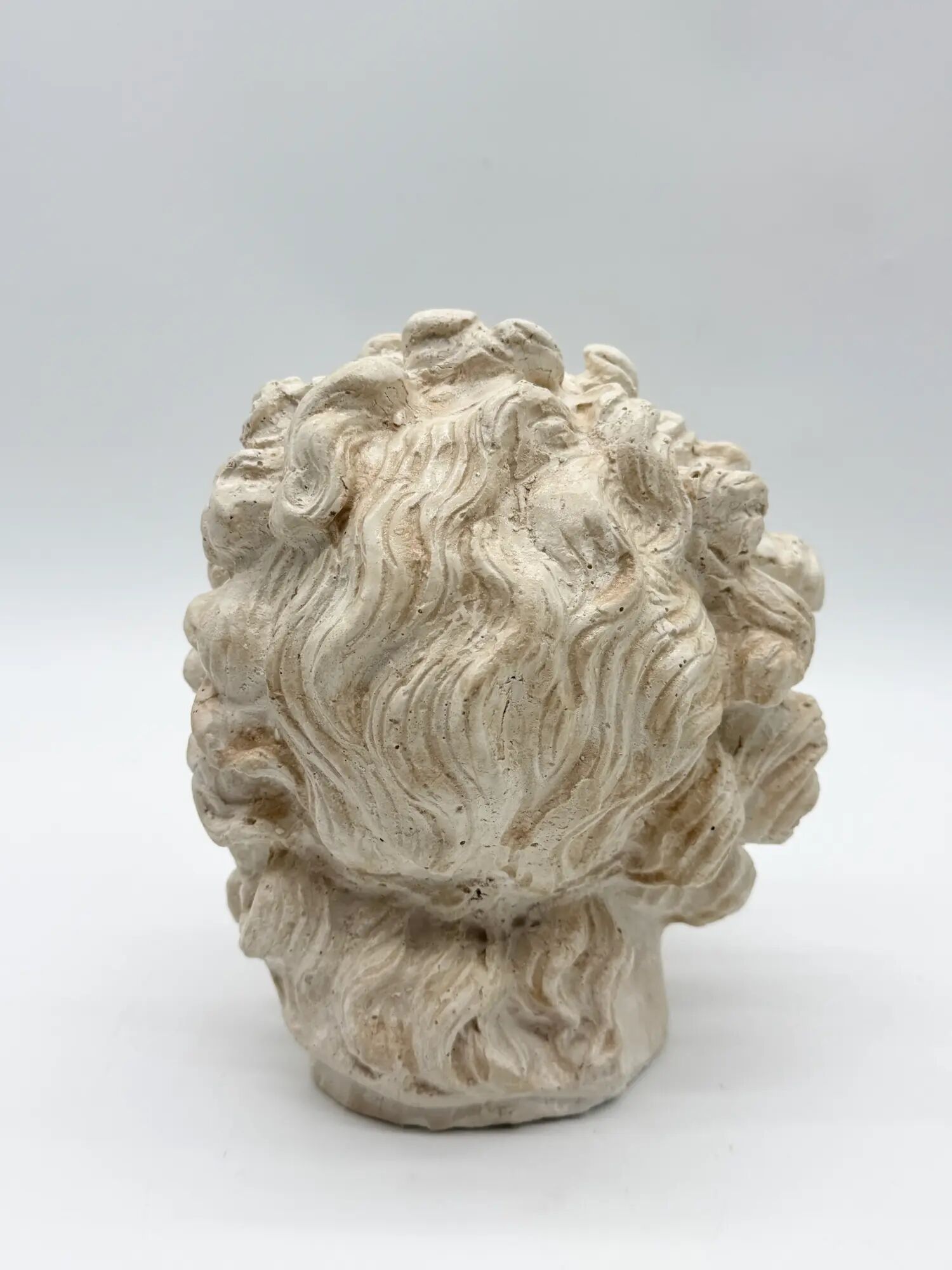 "Head of Laocoön" in plaster, contemporary reproduction, 20th century