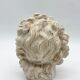 "Head of Laocoön" in plaster, contemporary reproduction, 20th century