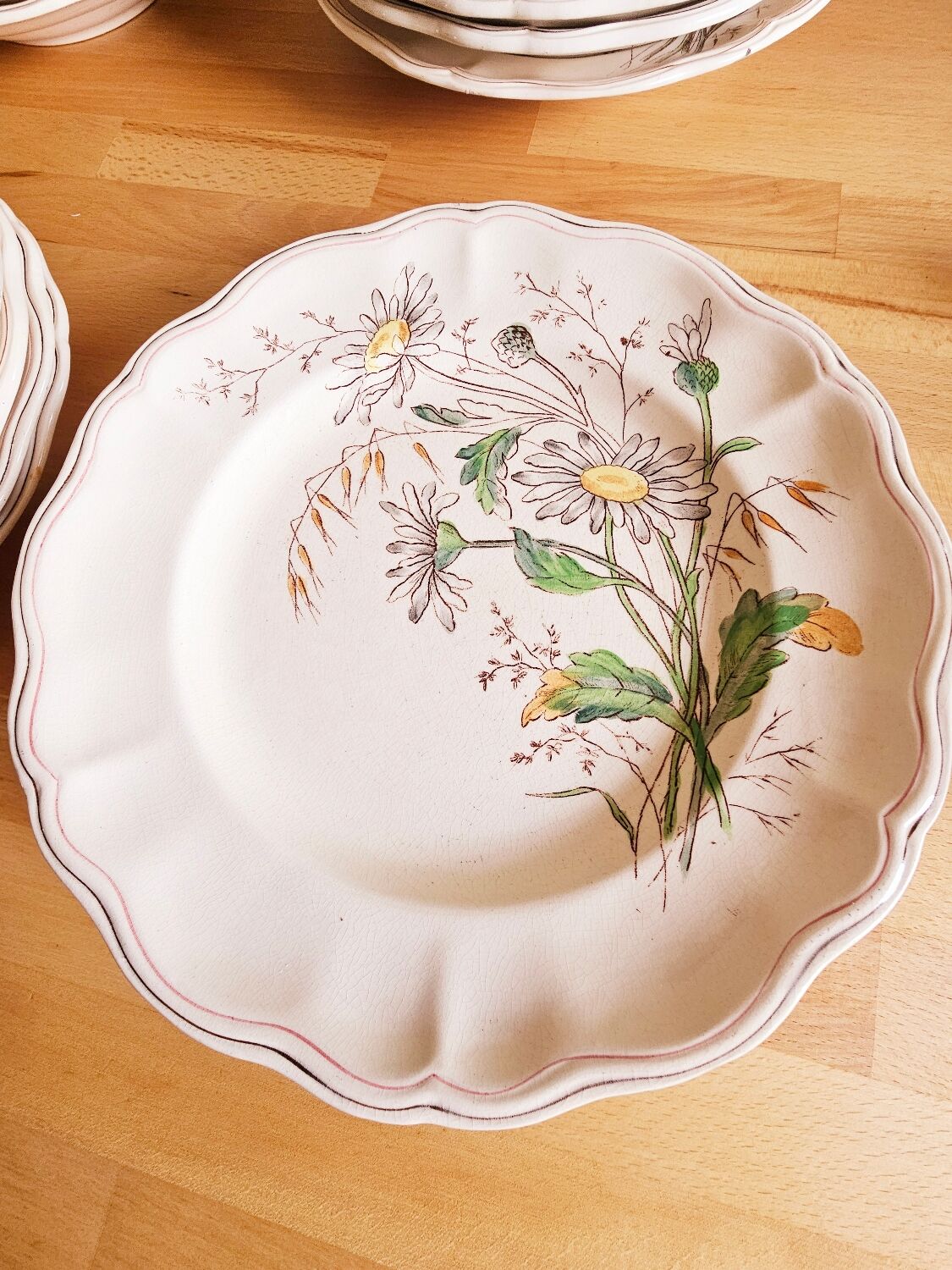 Lot plates, compotier, dish longchamp daisies iron earth