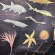 XL vintage linen school chart – ‘Relations of the animal kingdom’